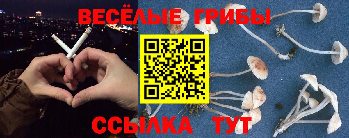 Псилоцибиновые грибы мухоморы  Псилоцибиновые грибы Psilocybine cubensis  Оренбург  Вход с VPN 
